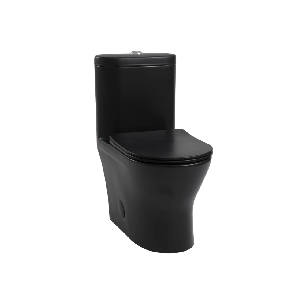 K-2920 – Matte Black Toilet, One Piece Modern Design